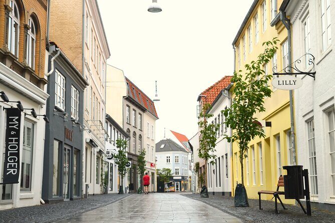 Aalborg Historical Treasures: A Walking Tour - Stop 1: Aalborg Zoo near the center, with conservation on the agenda