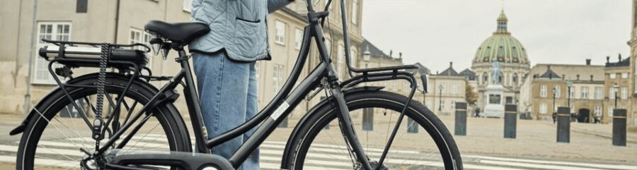 Copenhagen: 3 Hour Extended Grand E-Bike Guided Tour - Little Mermaid to Nyhavn: the classic start, done in photo-friendly time