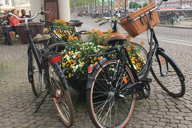 Copenhagen Bicycle Adventure - Price and what you get for $74.02