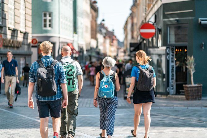 Copenhagen City Private Walking Tour - Royal theatre, art exhibitions, and a different side of the waterfront