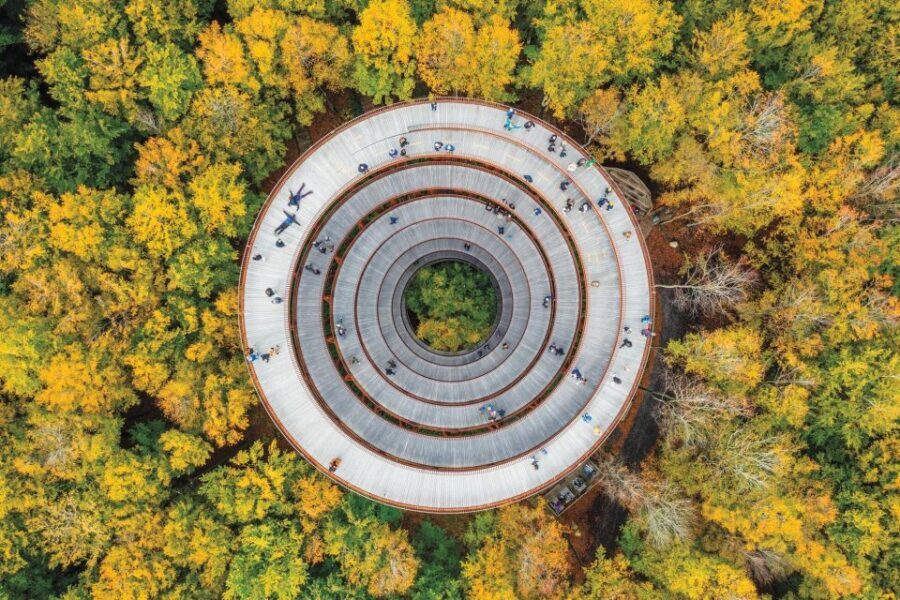 Copenhagen: The Forest Tower & Forgotten Giants Trolls Trip - Who This Trip Fits Best (and Who Might Want Another Option)