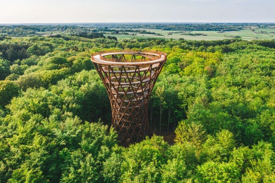 From Copenhagen: Round-Trip to Møns Klint and Forest Tower - Lunch at Café Møns Klint: Budget for It Being Extra
