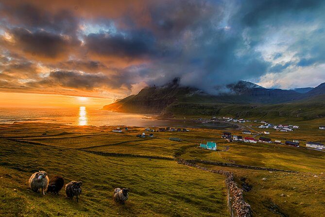 Súðuroy Island Day Tour, Faroe Islands - Famjin: fishing village texture plus stories tied to culture